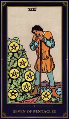 Seven of Pentacles